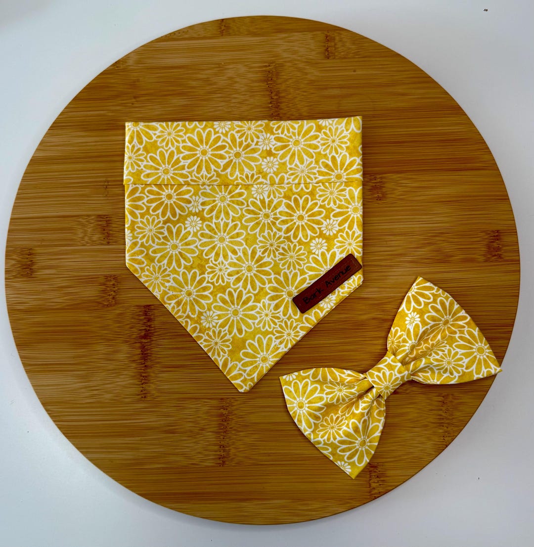 YELLOW DAISY