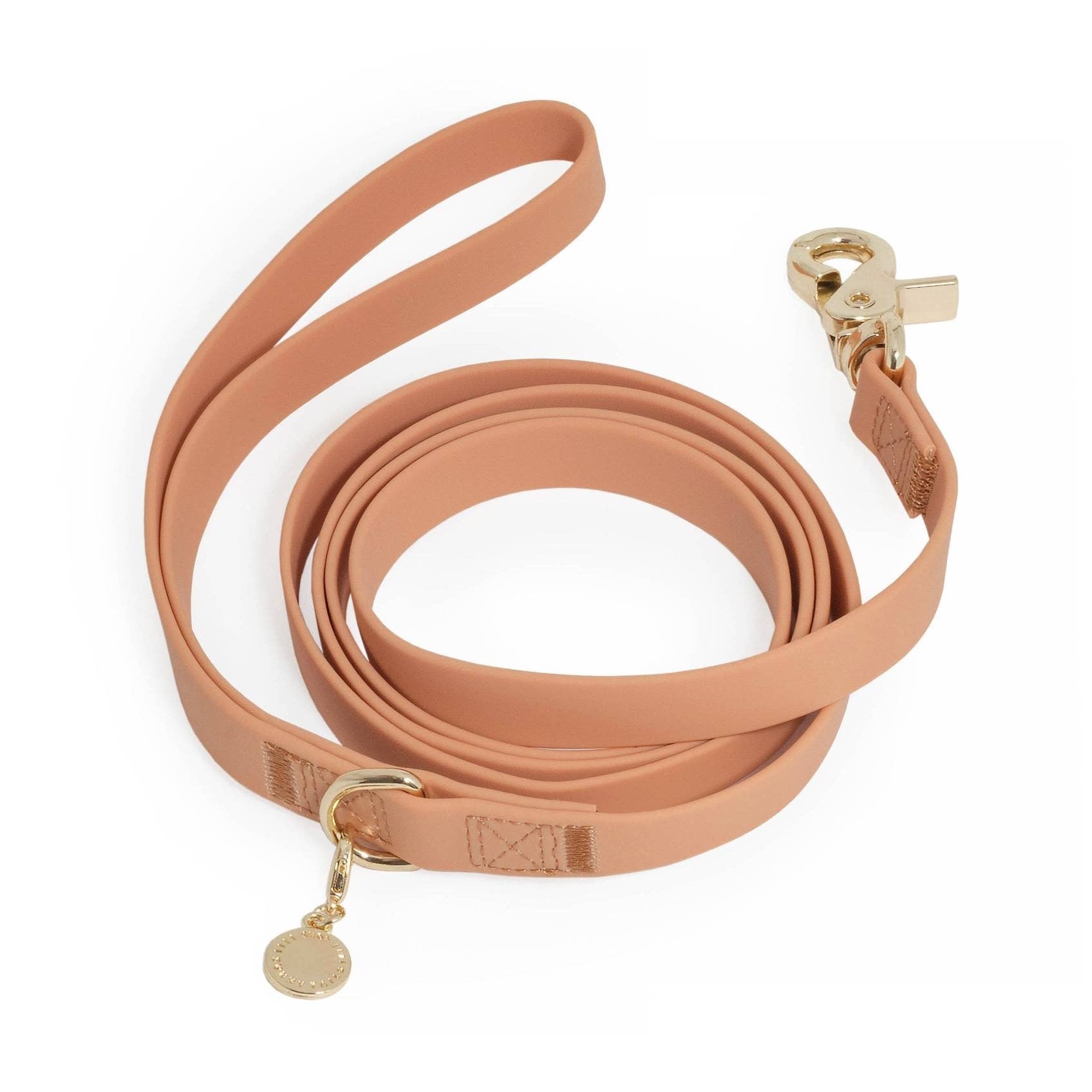 Chai Brown Waterproof Cloud Dog Leash