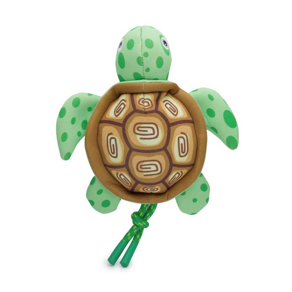 Floatie Turtle